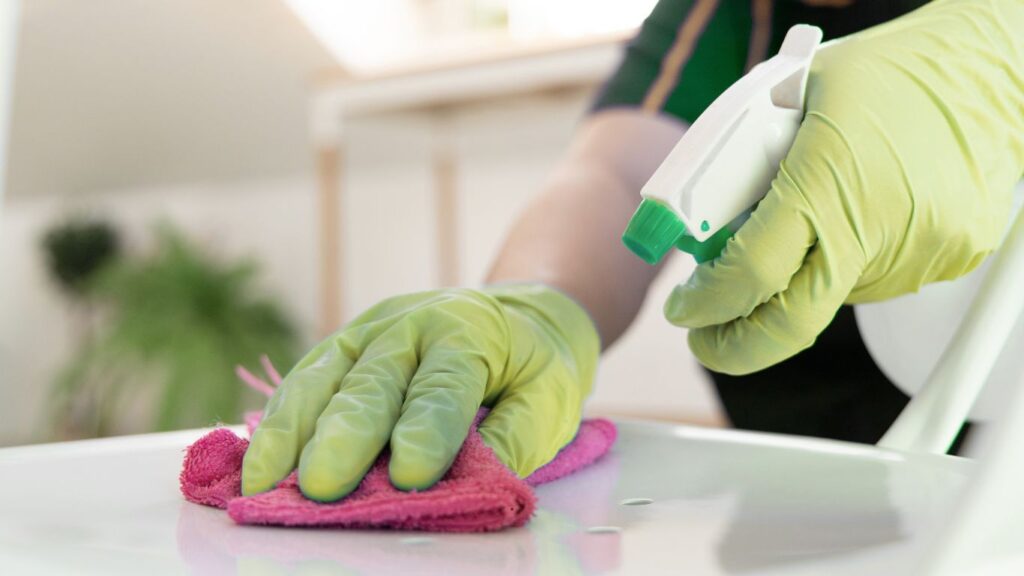 Professional cleaning services