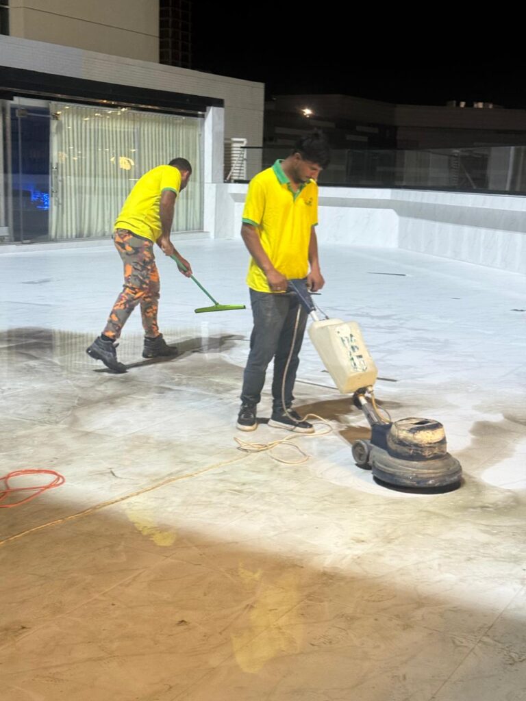 Professional house cleaning services