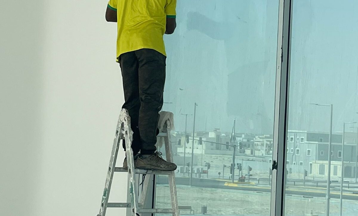 Professional Window Cleaning Services