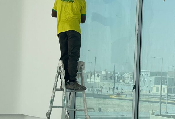 Professional Window Cleaning Services