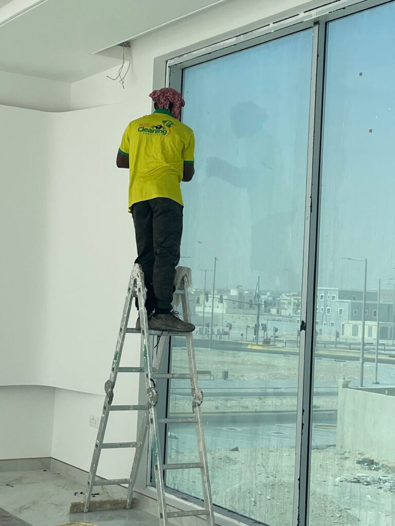 Professional Window Cleaning Services