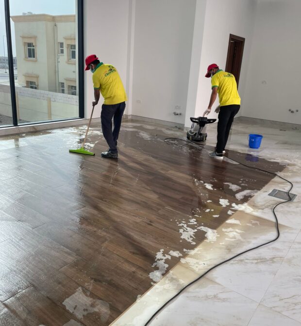 professional house cleaning services