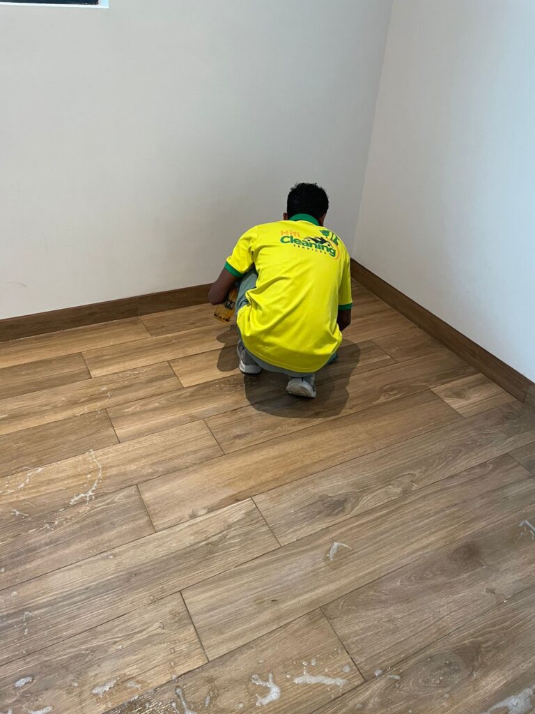 professional house cleaning
