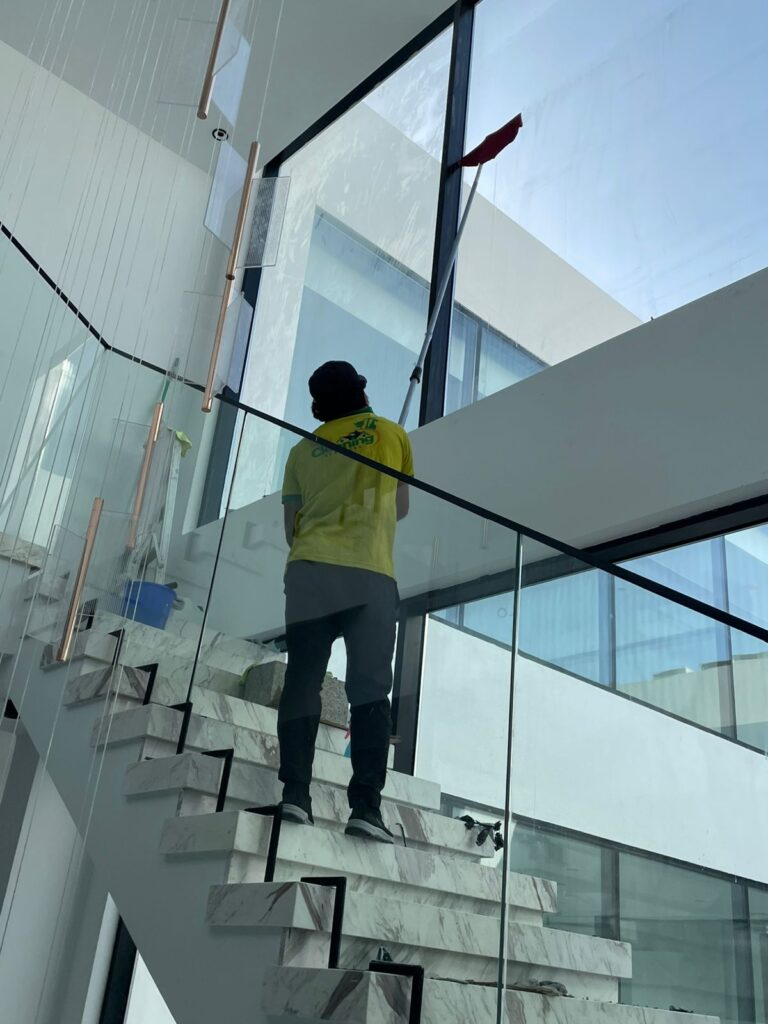Professional Window Cleaning Services