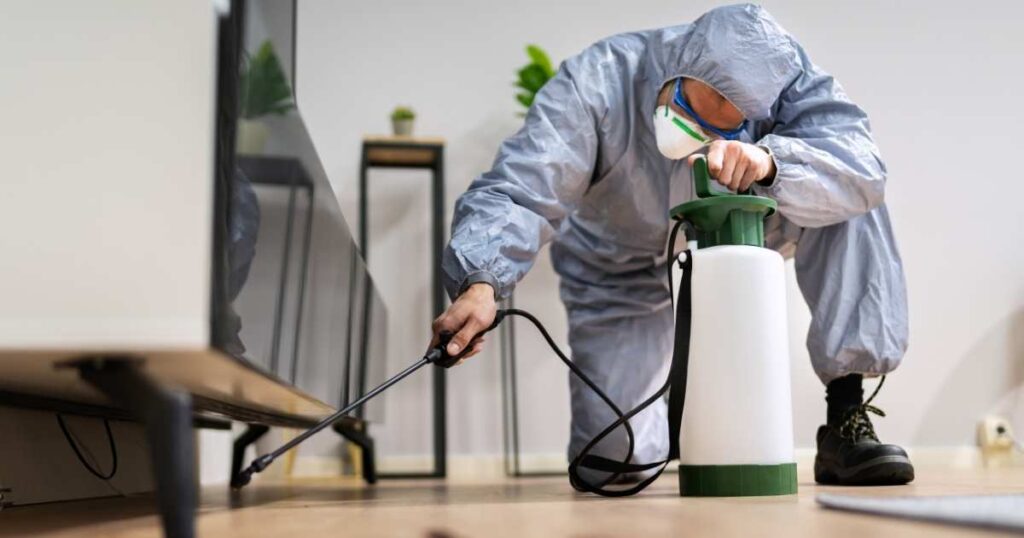 pest control services Abu Dhabi
