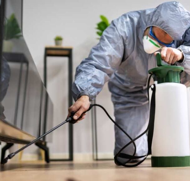 pest control services Abu Dhabi