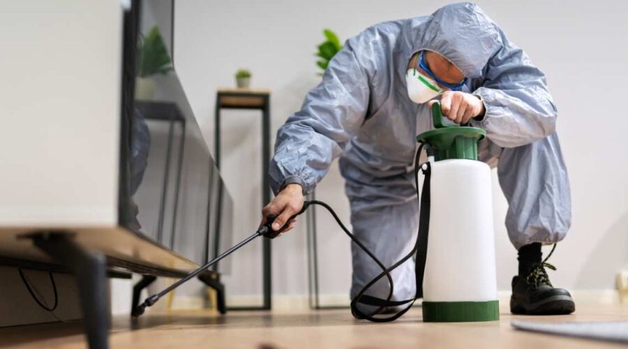 pest control services Abu Dhabi