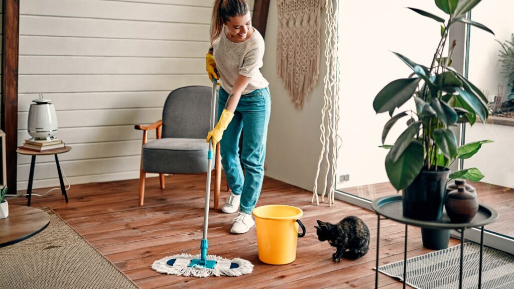 Apartment Cleaning Services
