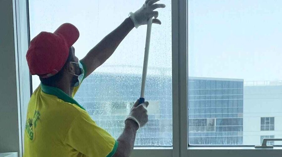 Professional Window Cleaning Services
