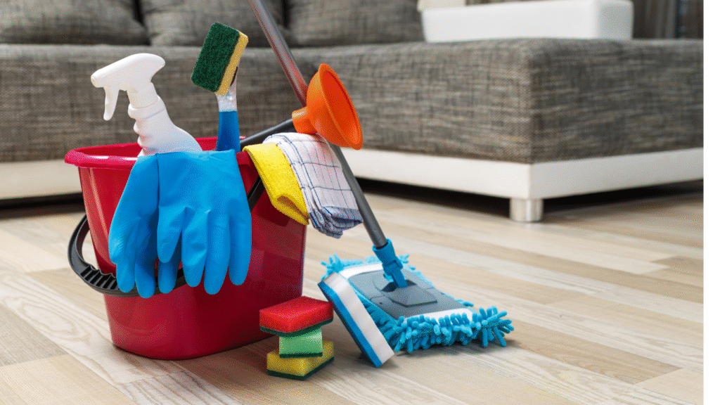 Apartment Cleaning Services 