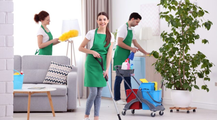 Villa Cleaning