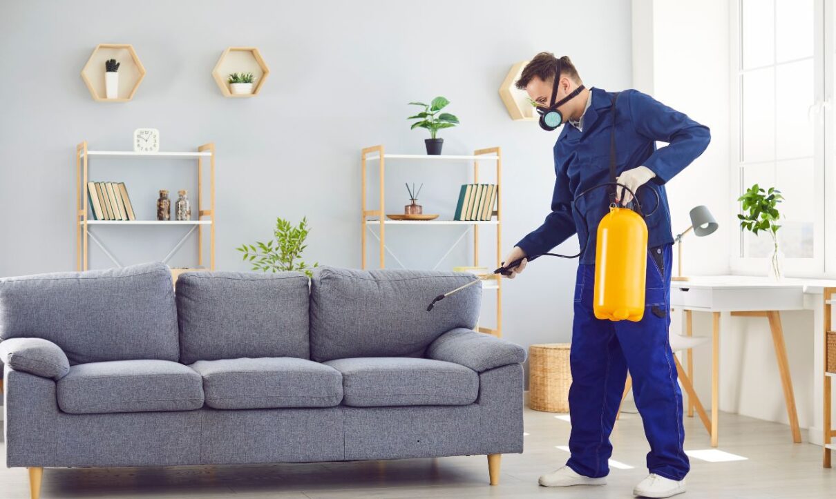 pest control