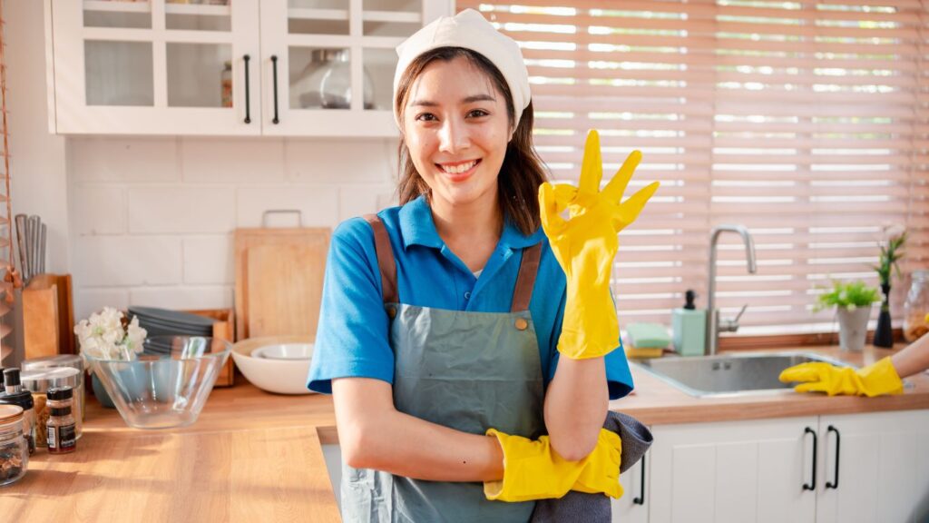Premium House Cleaning Services