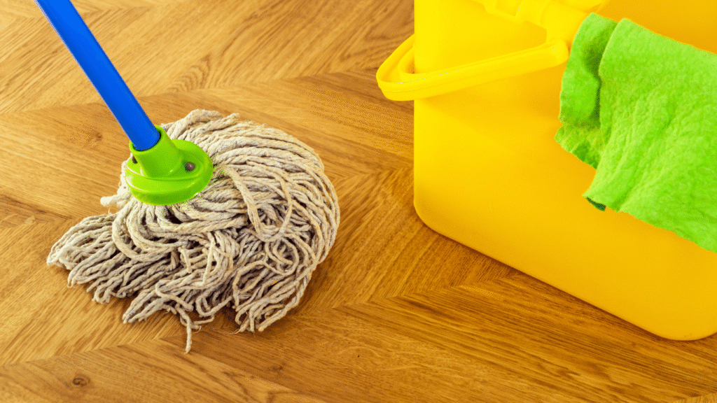 Affordable Apartment Cleaning Services