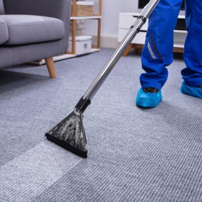 This is the part where carpet cleaning and upholstery care become non-negotiable needs.