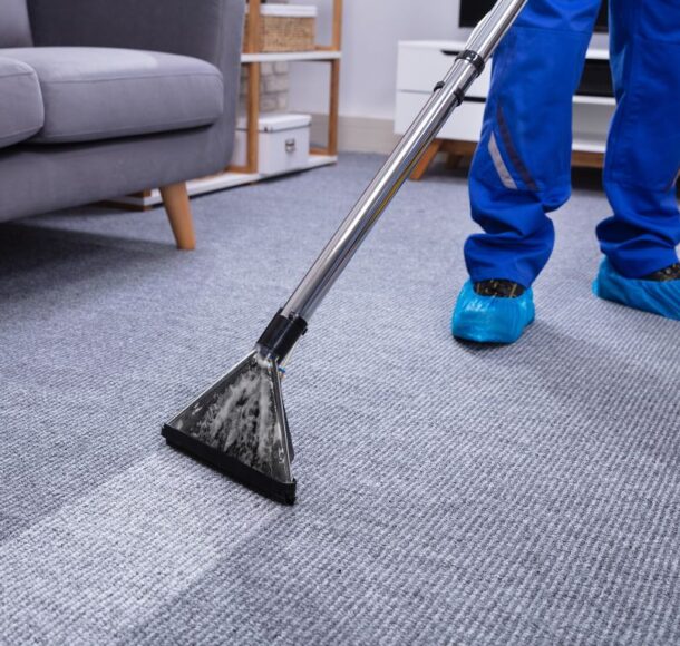 This is the part where carpet cleaning and upholstery care become non-negotiable needs.